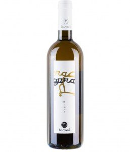 grillo-visual-vini-barraco-880x1024